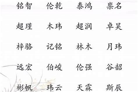 皓名字|带皓字好听的男孩名字